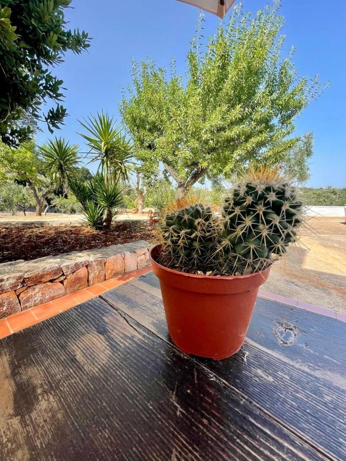 Residenza Fumarola Apartamento Ostuni Exterior foto